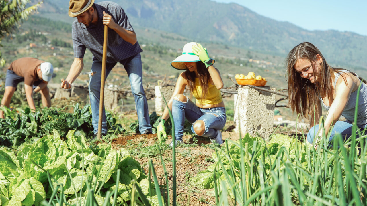 A Beginner’s Guide To Buying Farm And Ranch Equipment